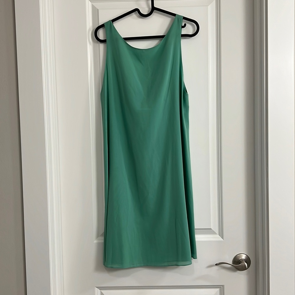 Silk Alice and Olivia Dress